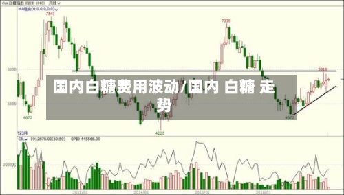 国内白糖费用波动/国内 白糖 走势-第3张图片