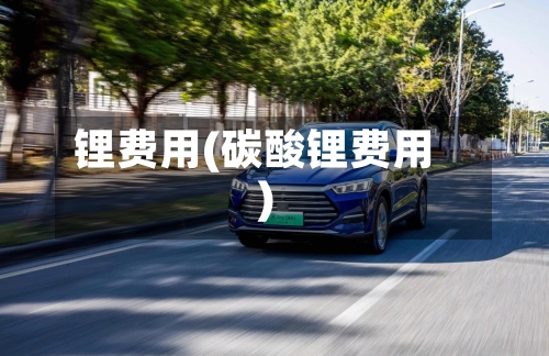 锂费用(碳酸锂费用)