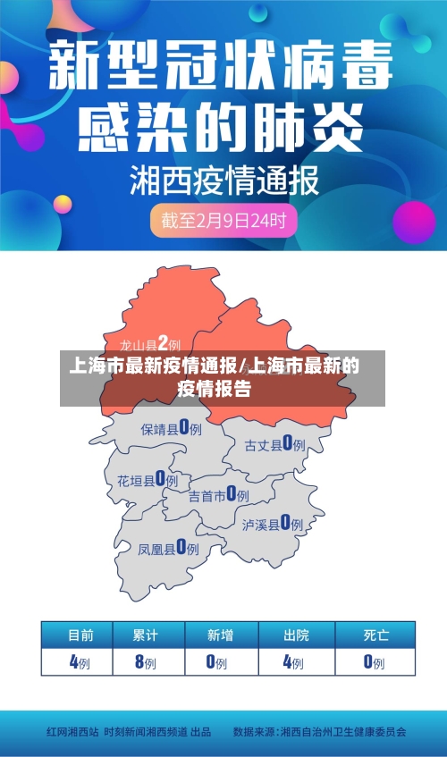 上海市最新疫情通报/上海市最新的疫情报告-第2张图片