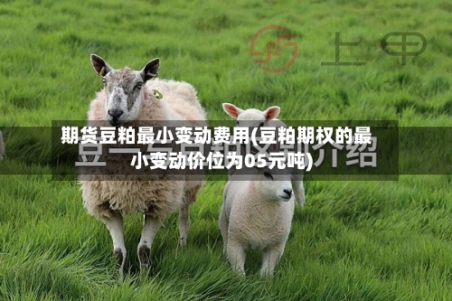 期货豆粕最小变动费用(豆粕期权的最小变动价位为05元吨)
