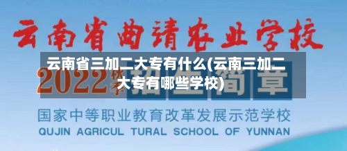 云南省三加二大专有什么(云南三加二大专有哪些学校)