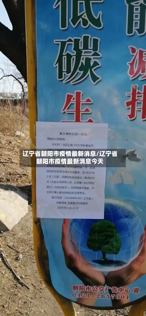 辽宁省朝阳市疫情最新消息/辽宁省朝阳市疫情最新消息今天-第2张图片