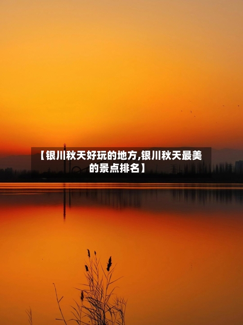 【银川秋天好玩的地方,银川秋天最美的景点排名】-第2张图片