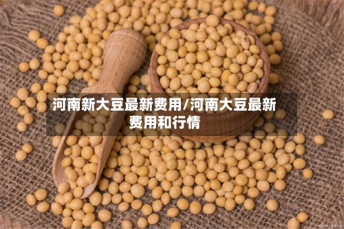 河南新大豆最新费用/河南大豆最新费用和行情-第3张图片