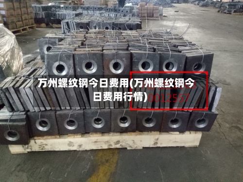 万州螺纹钢今日费用(万州螺纹钢今日费用行情)