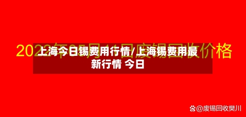 上海今日锡费用行情/上海锡费用最新行情 今日-第2张图片