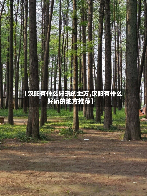 【汉阳有什么好玩的地方,汉阳有什么好玩的地方推荐】