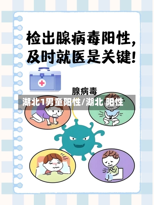 湖北1男童阳性/湖北 阳性