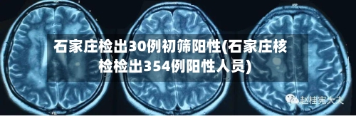石家庄检出30例初筛阳性(石家庄核检检出354例阳性人员)-第2张图片