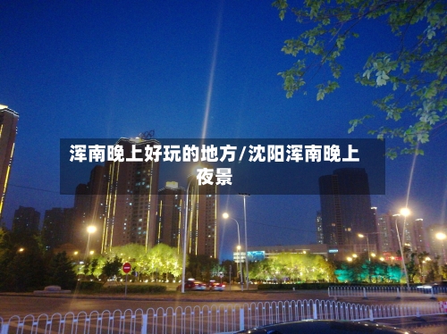 浑南晚上好玩的地方/沈阳浑南晚上夜景