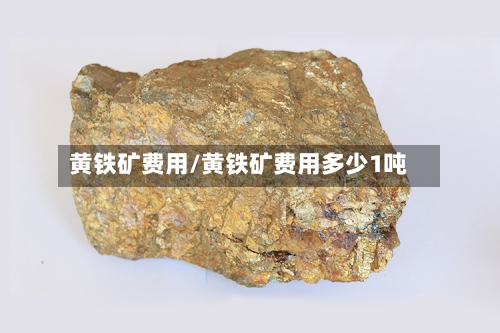 黄铁矿费用/黄铁矿费用多少1吨-第3张图片