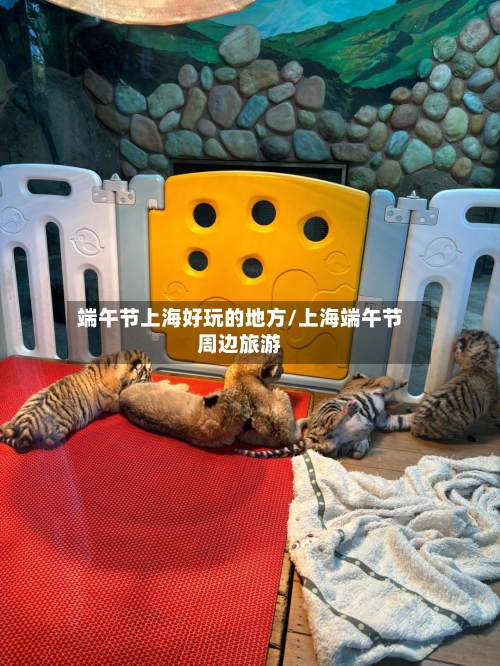 端午节上海好玩的地方/上海端午节周边旅游