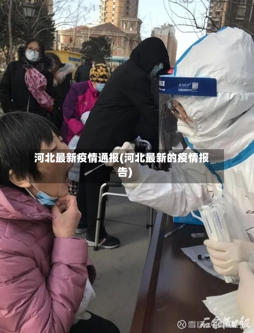河北最新疫情通报(河北最新的疫情报告)-第3张图片