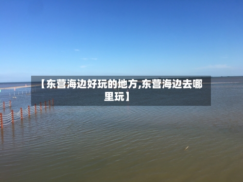【东营海边好玩的地方,东营海边去哪里玩】