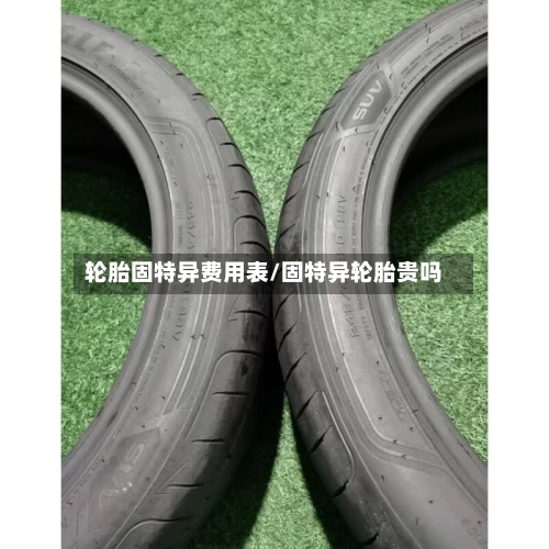 轮胎固特异费用表/固特异轮胎贵吗
