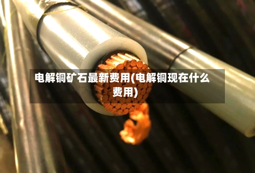 电解铜矿石最新费用(电解铜现在什么费用)-第3张图片