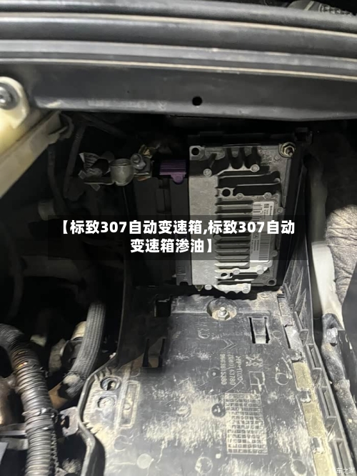 【标致307自动变速箱,标致307自动变速箱渗油】