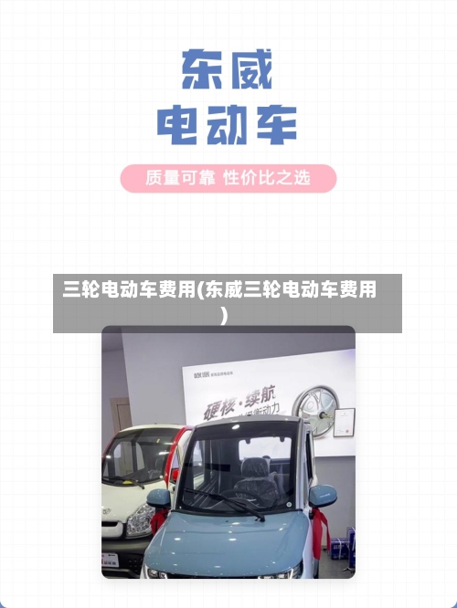 三轮电动车费用(东威三轮电动车费用)-第2张图片