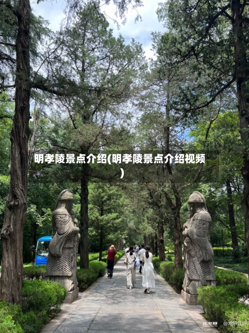 明孝陵景点介绍(明孝陵景点介绍视频)