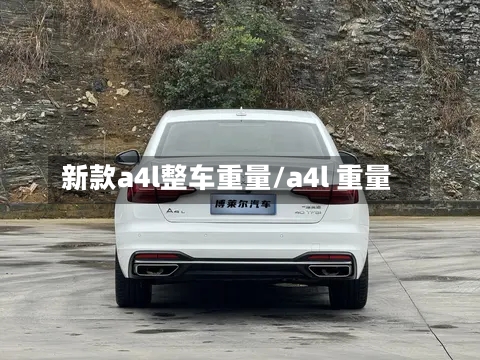 新款a4l整车重量/a4l 重量-第3张图片