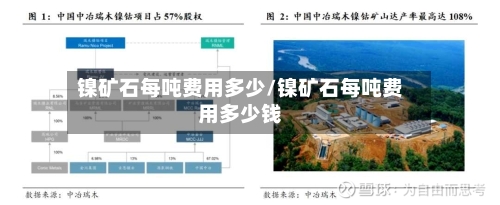镍矿石每吨费用多少/镍矿石每吨费用多少钱