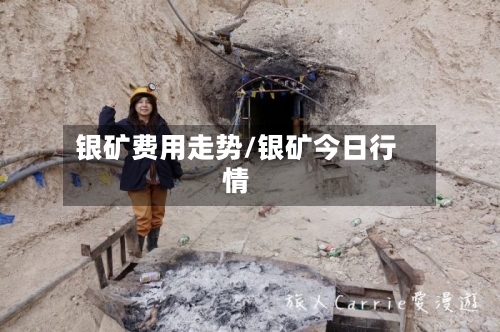 银矿费用走势/银矿今日行情