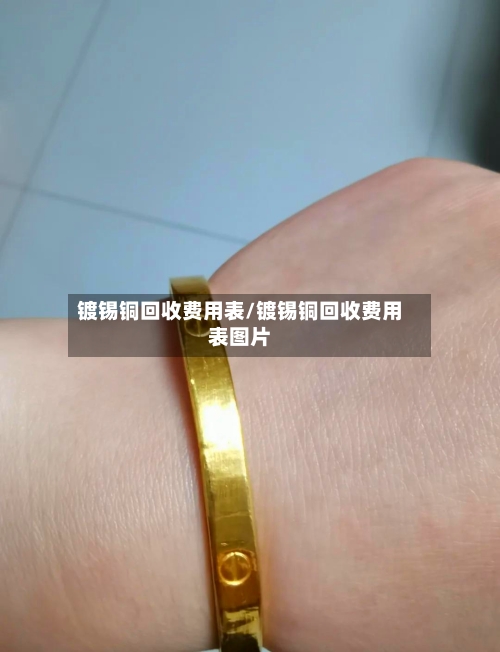 镀锡铜回收费用表/镀锡铜回收费用表图片-第2张图片
