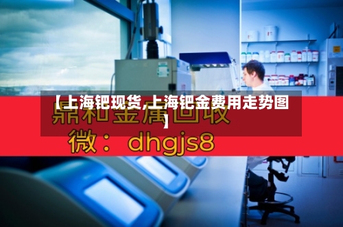 【上海钯现货,上海钯金费用走势图】-第3张图片