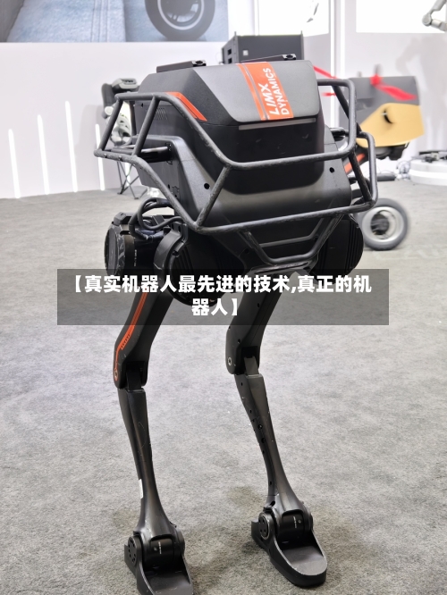 【真实机器人最先进的技术,真正的机器人】-第2张图片