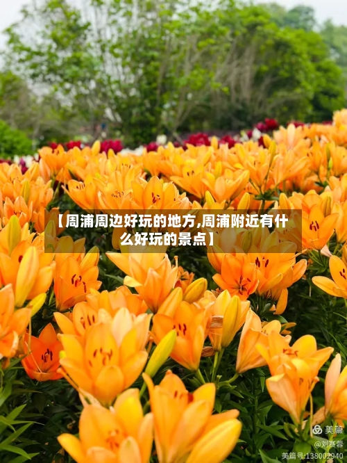 【周浦周边好玩的地方,周浦附近有什么好玩的景点】-第2张图片