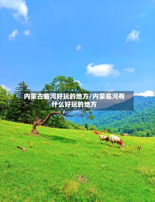 内蒙古临河好玩的地方/内蒙临河有什么好玩的地方-第2张图片