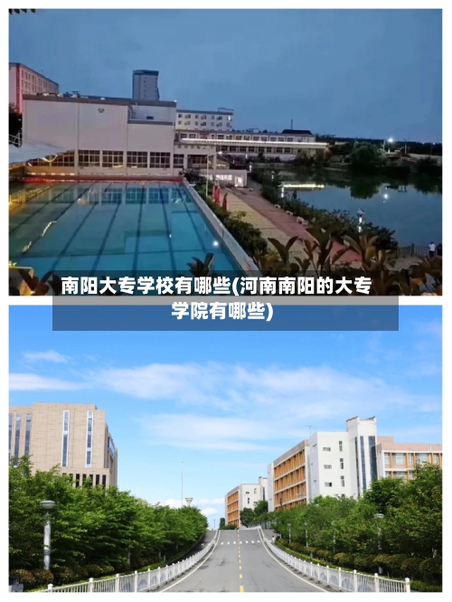 南阳大专学校有哪些(河南南阳的大专学院有哪些)