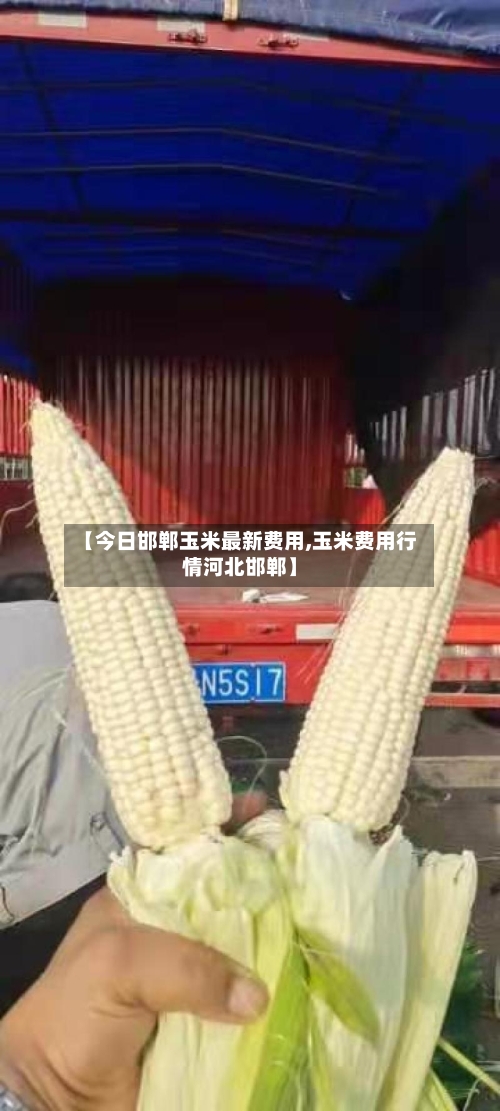 【今日邯郸玉米最新费用,玉米费用行情河北邯郸】-第3张图片