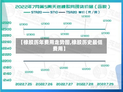 【橡胶历年费用走势图,橡胶历史最低费用】-第3张图片