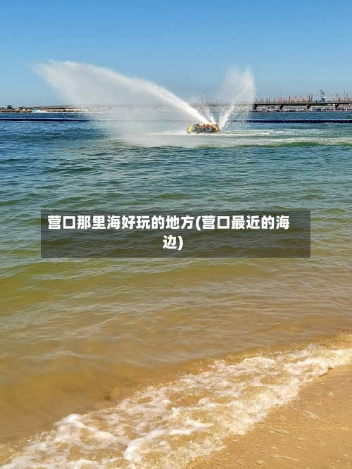 营口那里海好玩的地方(营口最近的海边)