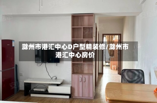 滁州市港汇中心D户型精装修/滁州市港汇中心房价