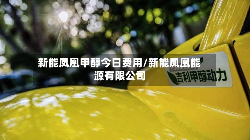 新能凤凰甲醇今日费用/新能凤凰能源有限公司-第3张图片