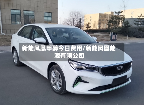 新能凤凰甲醇今日费用/新能凤凰能源有限公司