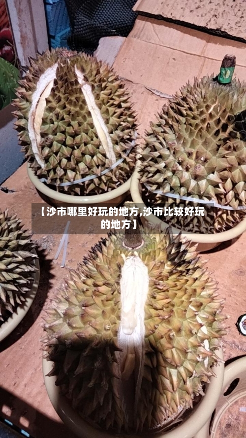 【沙市哪里好玩的地方,沙市比较好玩的地方】-第2张图片