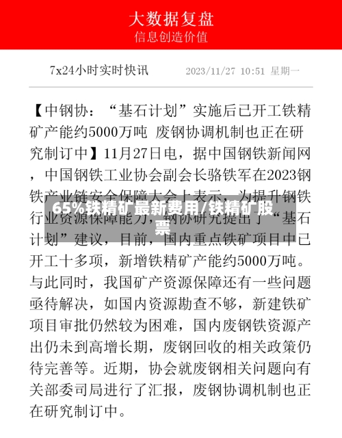 65%铁精矿最新费用/铁精矿股票
