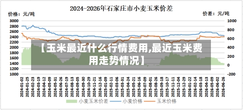 【玉米最近什么行情费用,最近玉米费用走势情况】-第1张图片