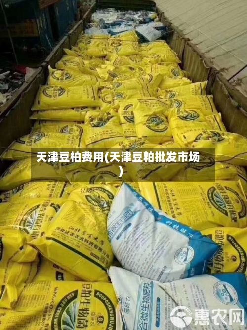 天津豆柏费用(天津豆粕批发市场)-第3张图片