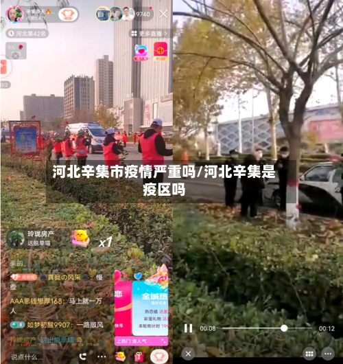 河北辛集市疫情严重吗/河北辛集是疫区吗