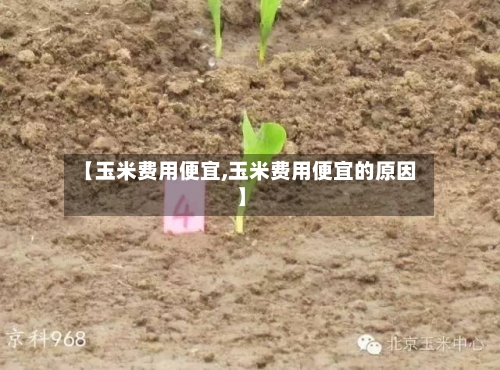 【玉米费用便宜,玉米费用便宜的原因】
