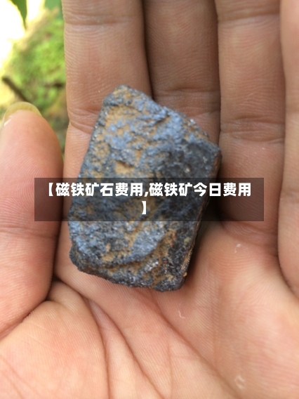 【磁铁矿石费用,磁铁矿今日费用】