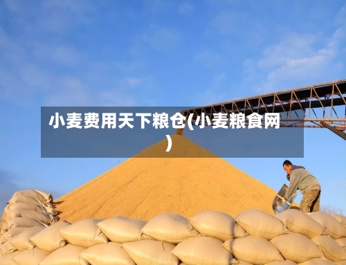 小麦费用天下粮仓(小麦粮食网)-第2张图片