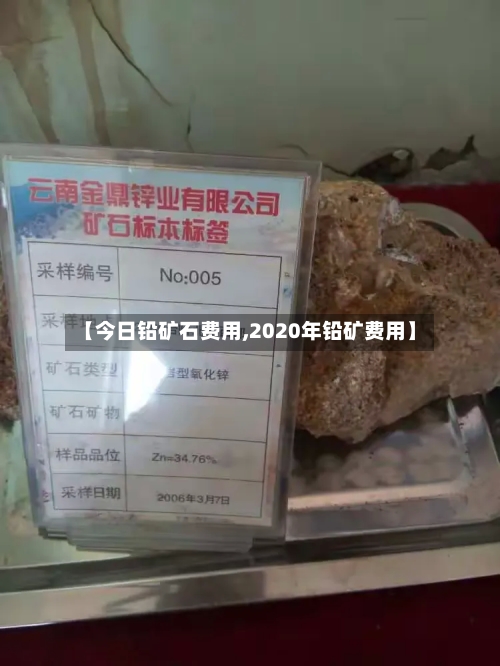 【今日铅矿石费用,2020年铅矿费用】