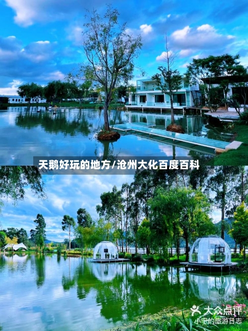 天鹅好玩的地方/沧州大化百度百科-第2张图片