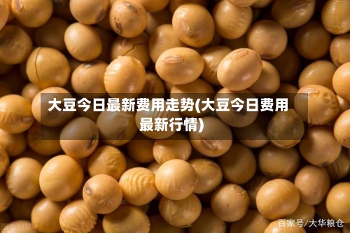 大豆今日最新费用走势(大豆今日费用最新行情)-第3张图片