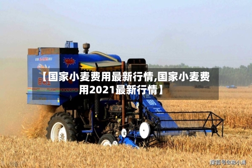 【国家小麦费用最新行情,国家小麦费用2021最新行情】-第3张图片